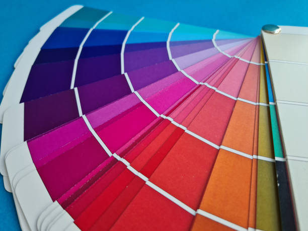Color guide color palette different shades concept